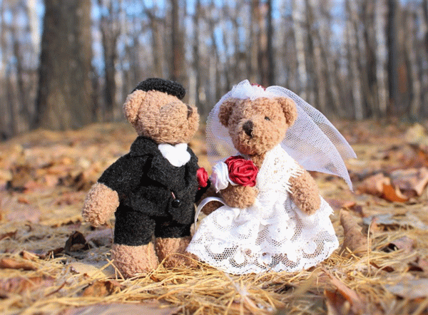 Со скольких лет можно жениться в России.